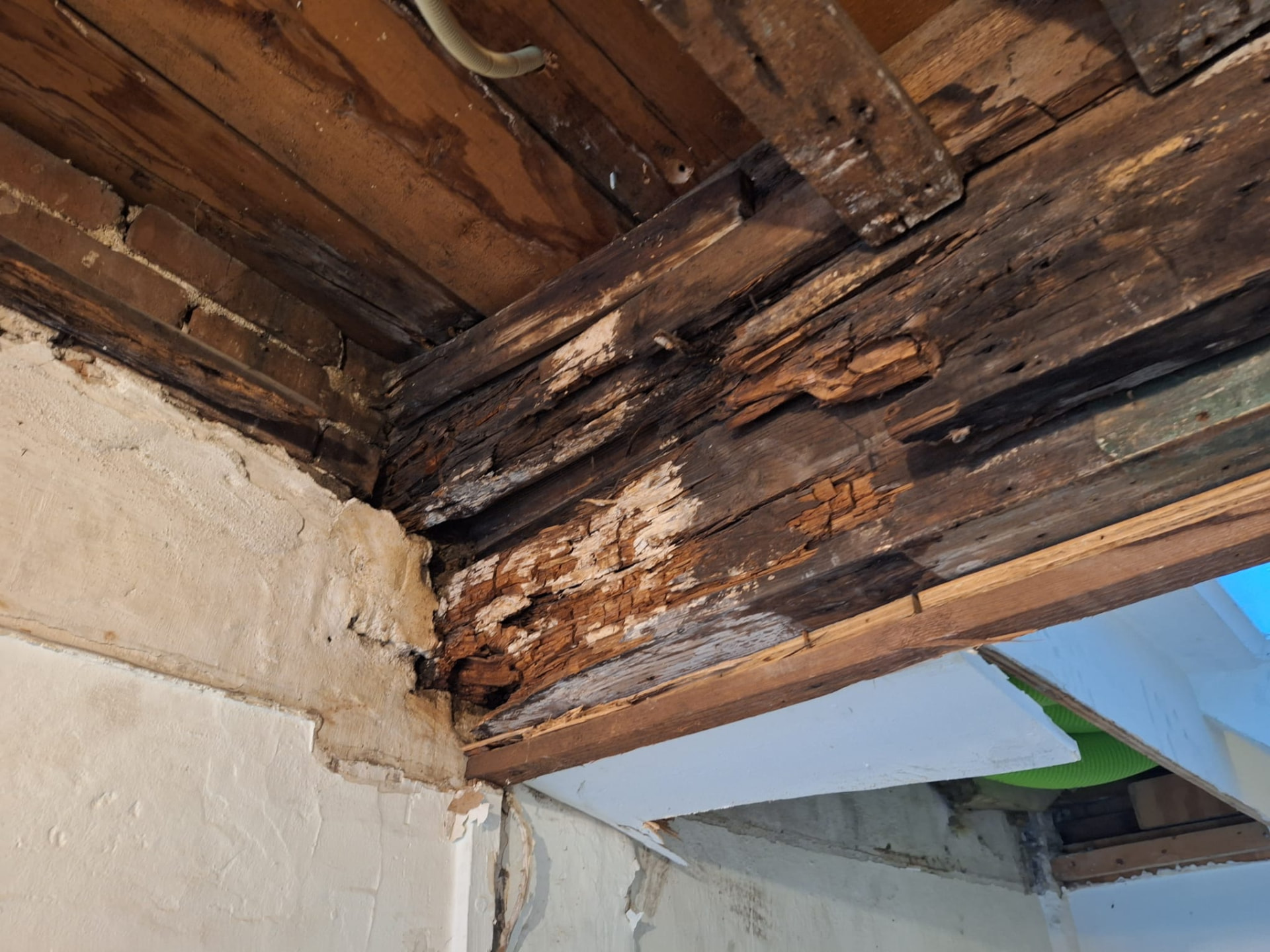 Door houtrot aangetaste houten balk en muurplaat zichtbaar na het verwijderen van plafond en pleisterwerk